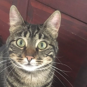 Meet your Posher, Valerie